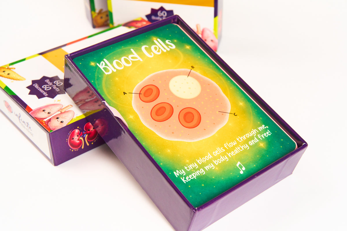 My Magical Body - Body Literacy Flashcards